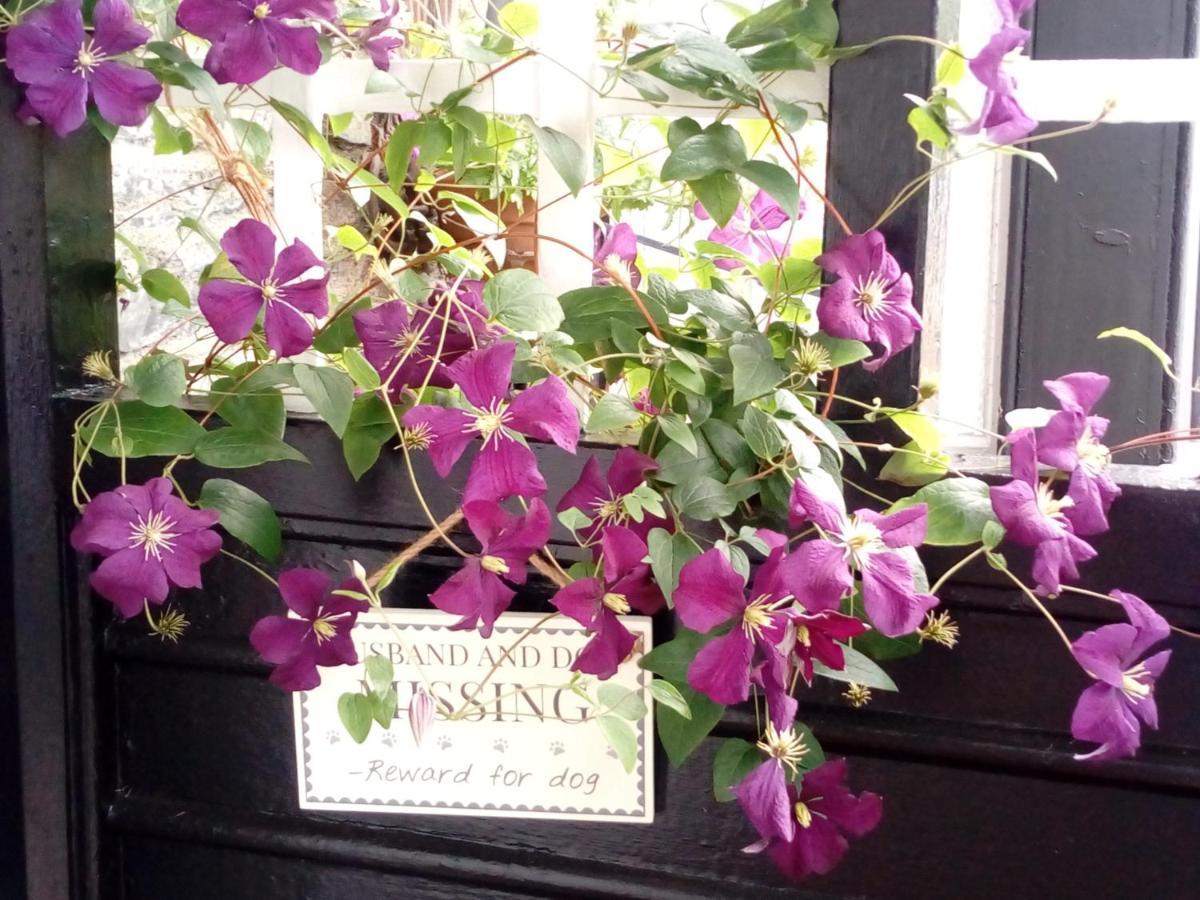 Puddle Duck Lodge - Adults Only Bowness-on-Windermere Exteriör bild